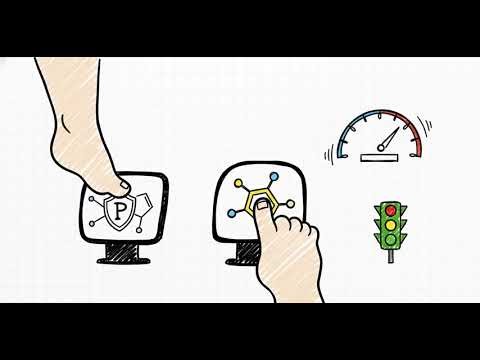 Pregnancy & Parturition