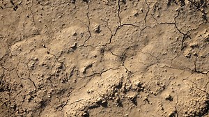 Residual Soil Vs Transported Soil: What Is The Difference?