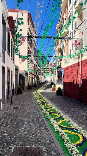 The traditional flower carpets of Madeira festivities 🌸🌺🌹💐🌻🌼 #intothewildmadeira #viralvideos #adventure #naturephotography #portugal🇵🇹 #tourism #travelcontent #naturevibes