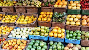 A fruit stand with a variety of fruits including apples, oranges, and bananas. The stand is full of fresh produce and is arranged in a way that makes it easy for customers to see