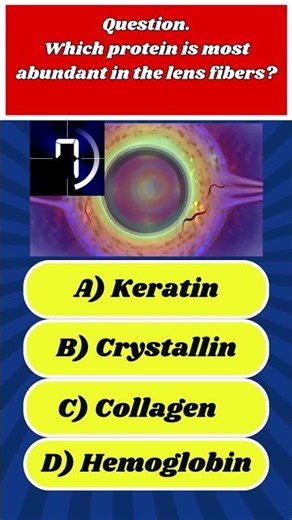 👁️ Only 2% Know These Lens Facts!