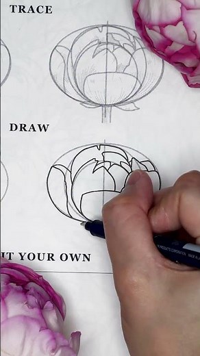 Easy Peony Flower Drawing ✨