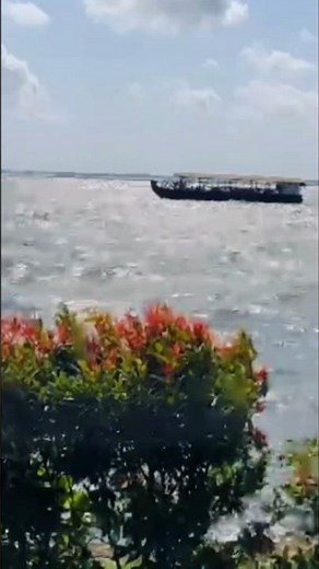 Heavenly Kerala Backwaters 🌴 Kumarakom Boat Ride on Vembanad Lake#nature#travel #keralabackwaters