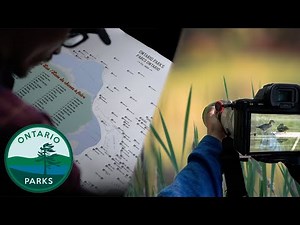 Discovering the Wild: A Year Exploring Ontario's Provincial Parks