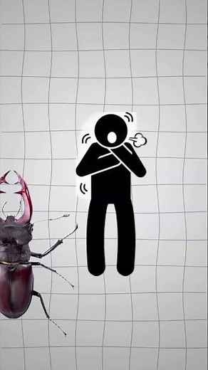 The Real-Life Iron Man 😳 | Meet the Man Who Built His Own Suit!#RealLifeIronMan