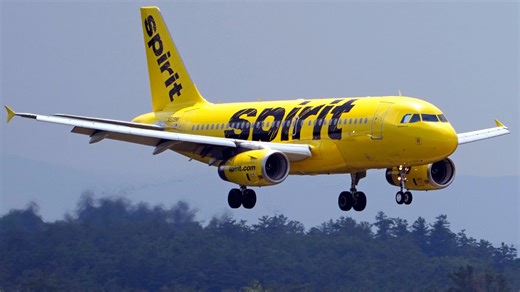 La. entrepreneur proposes Spirit Airlines hub for New Orleans