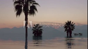 A reflective open pool limit is reflecting tall dark palm trees behind it. Faraway misty mountains and a beautiful evening sky are completing the scenery. A tiny lonely plane is flying above Stock Video