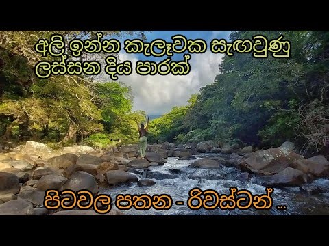 අලි ඉන්න කැලෑවක සැඟවුණු ලස්සන දිය පාරක් ( පිටවල පතන - රිවස්ටන් ...)