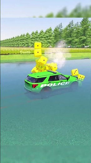 FS POLICE CAR AND FIRE TRUCK 019