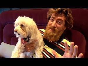 Our Dogs Meet a Cat For The First Time