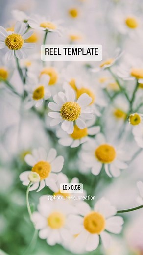 𝐑𝐄𝐄𝐋𝐒 𝐓𝐔𝐓𝐎𝐑𝐈𝐀𝐋𝐒 • 𝐓𝐄𝐌𝐏𝐋𝐀𝐓𝐄𝐒🥀 𝐑𝐞𝐞𝐥𝐬𝐦𝐚𝐤𝐞𝐫 | 🌿Just click «use template» and add 15 of your photos or videos🌼 Thank you for❤️ Subscribe to @photo_reels_creation #flowers #nature... | Instagram