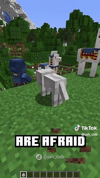 Minecraft Myth Busting: Fact or Fiction?