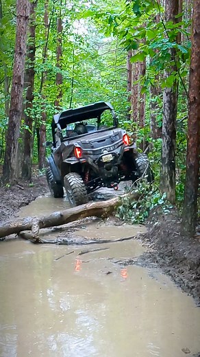 ZForce 950 Sport G2 “Pesky Down Log” #rngperformance #offroad #cfmoto #sxs #ZForce950 #Gen2 | Slawdogs Off-Road