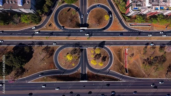 yellow ipe trees in the streets and earwigs of Brasilia - Brazil