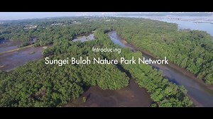 4.6K views · 241 reactions | The new 400-hectare Sungei Buloh Nature...