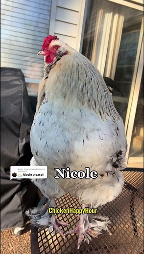 Nicole! We are looking for you 👀