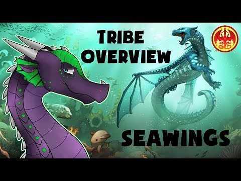 WoF Tribe Overview: Seawings