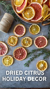 🍊 How to dry oranges for natural holiday decor 👇🏼 . ✨ This simple, beautiful, easy craft project is one of my favorite things about winter! Dried citrus seems to make everything feel *that* much more magical. Use oranges, lemons, limes, grapefruit, blood oranges… you name it! You can dry citrus in the oven or a food dehydrator - though the color stays a bit more bright in a dehydrator and can turn brown in the oven if you don’t keep a close eye on them. . 💚 INSTRUCTIONS: . • Slice 1/8 to 1/4