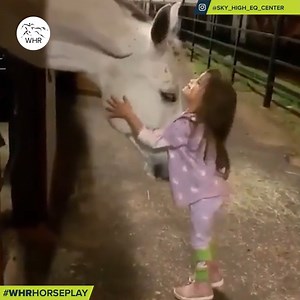 11M views · 833K reactions | There's no love quite like the love between a human and their horse 梁❤️  Sky High Equestrian Center #WHRHorseplay | World Horse Racing | Facebook