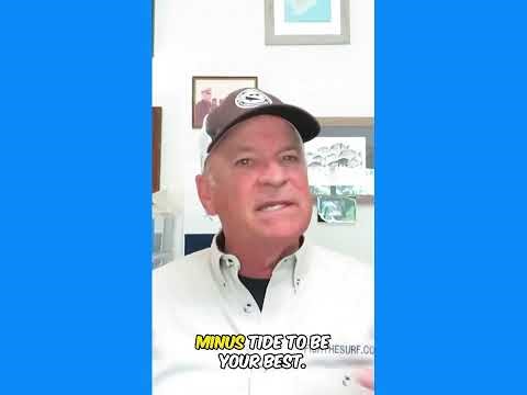 Surf Fishing: Part 2, more places to find fish at the beach.
