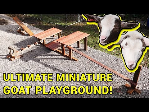 I made an awesome playground for my miniature goats