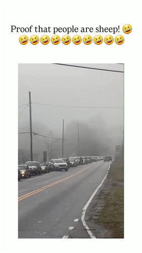 Understanding Phantom Traffic Jams on Foggy Roads