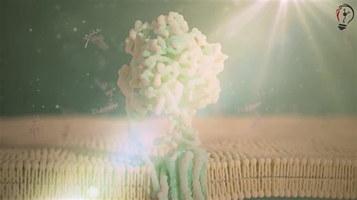 #scientificanimation #molecularbiology #atpsynthase #sciencecommunication #3danimation #biotechart #lampscience | LampScience