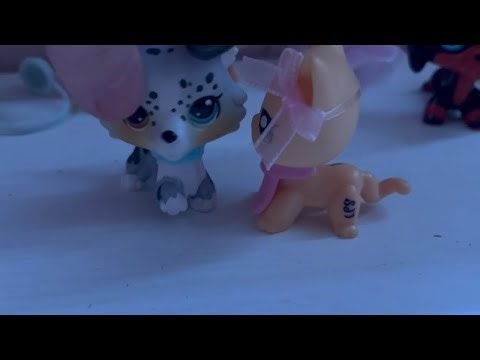 HOT NEW GIRL AT SCHOOL??? #lps #lpspopular