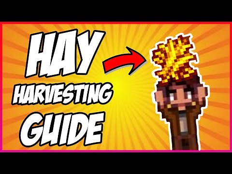 A Step by Step Guide to Getting Hay in Stardew Valley