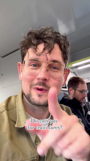 Do cats pay for train fares?