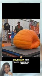 453K views · 299 reactions |  ¡Una calabaza de otro planeta! Con un...