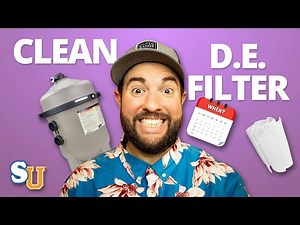 When Should You Clean Your D.E. POOL FILTER GRIDS?