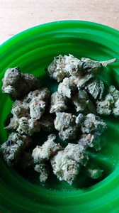 Grape Escape | Marijuana Strain Reviews