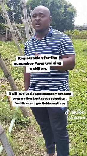 If you want to go into cucumber farming , or you have not been seeing a good results on your cucumber farm This training is for you. it's going to be informative , Educative and well detailed . it will involve disease management, land preparation, best seeds selection , fertilizer and pesticide routines. For more information Send a DM.