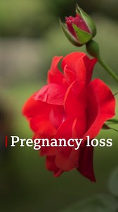 ‘He wasn’t with me when we got the bad news.’ Coronavirus restrictions meant Catriona was alone when she found out she'd lost her twin pregnancy. For information on support following a miscarriage click here: bbc.in/2Zu3Yqi | BBC London