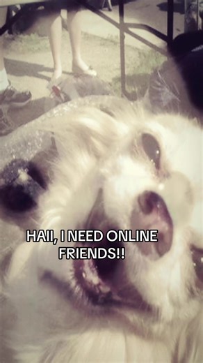 Join the Sugoii Online Friends Community