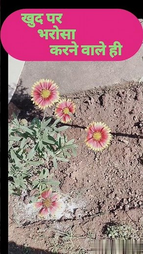 Motivational thoughts//motivational thoughts in hindi SN053