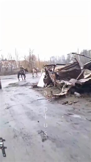 The 21st century, a high-precision war — and Russia is once again remembering its cavalry. Pokrovsk, Donetsk region. | Swedish Army Veteran