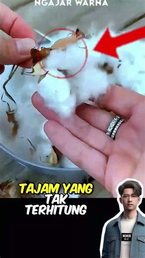 OW! Cotton proof but hard