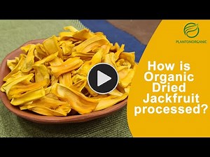 How is Organic Dried Jackfruit processed? | Dried jackfruit processing method at Plantonorganic |