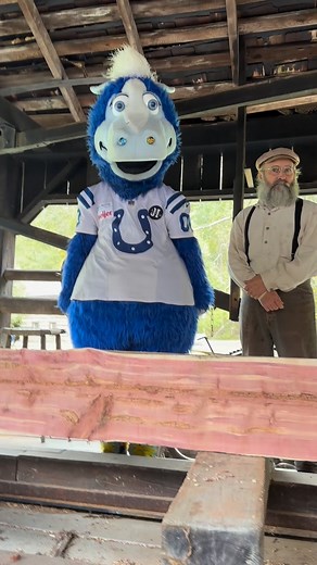 he gets me | Blue Indianapolis Colts Mascot