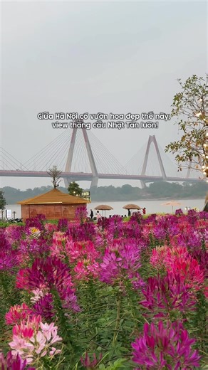 Khám Phá Tree Bee Coffee: Nơi Chill Đêm Hà Nội