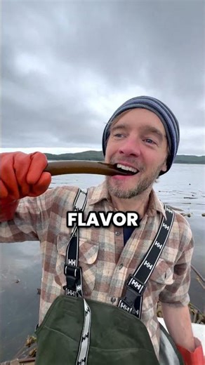 The Surprising Reason Everyone's Farming Kelp Now 🤯! #shorts