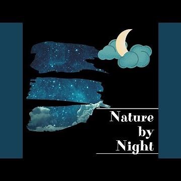 Sound of Swamp Sounds