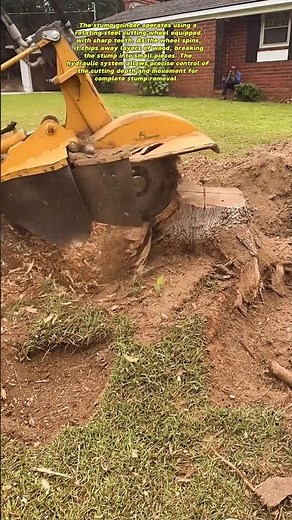 Powerful Stump Grinder in Action | Educational Video on Tree Root Removal Machine🇺🇲