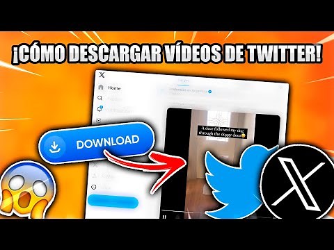 CÓMO DESCARGAR VÍDEOS DE X (TWITTER) EN 2024