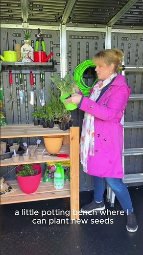 My Dream Garden Shed — Built in Just One Day!