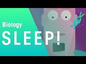 Sleep | Health | Biology | FuseSchool