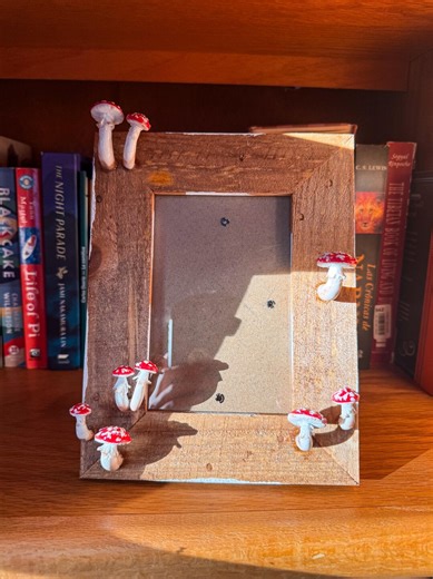 Red Mushroom Picture Frame, Handmade Wooden Photo Frame, Fungi Art, Woodland Cottagecore Decor. - Etsy