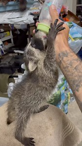 Python Cowboy Hunts on Reels | Facebook